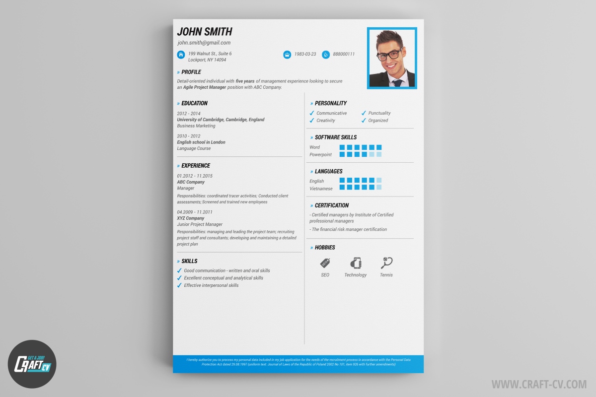 Professional Resume Maker 20 Cv Builder Nz Sample Service 