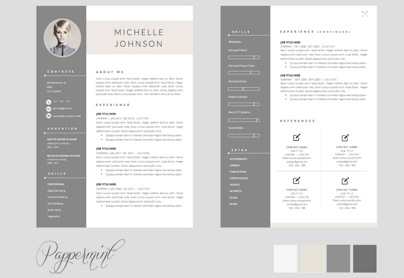 Fashionable Resume Template For Pages 3 The Best CV Resume 